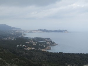 IMG_5115 (Medium)